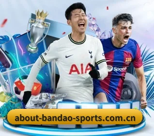 半岛体育下载 APP