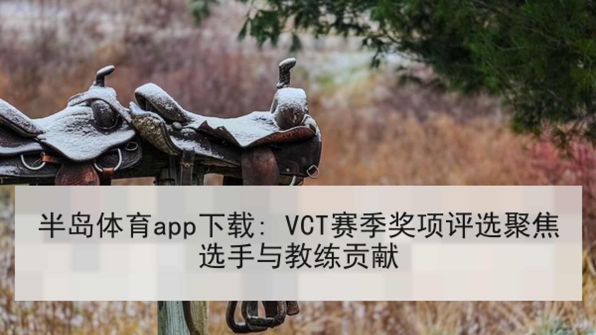 半岛体育app下载: VCT赛季奖项评选聚焦选手与教练贡献