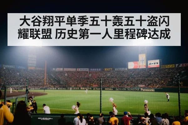 baseball stadium night