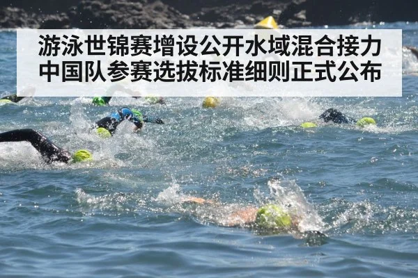 open water swimming race